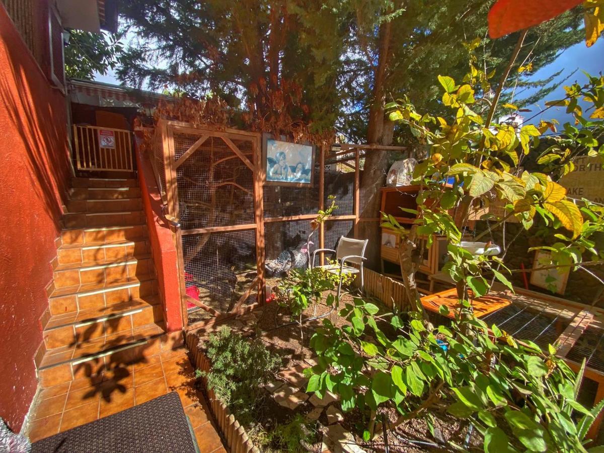 Kordelliya Appartement Chayofa